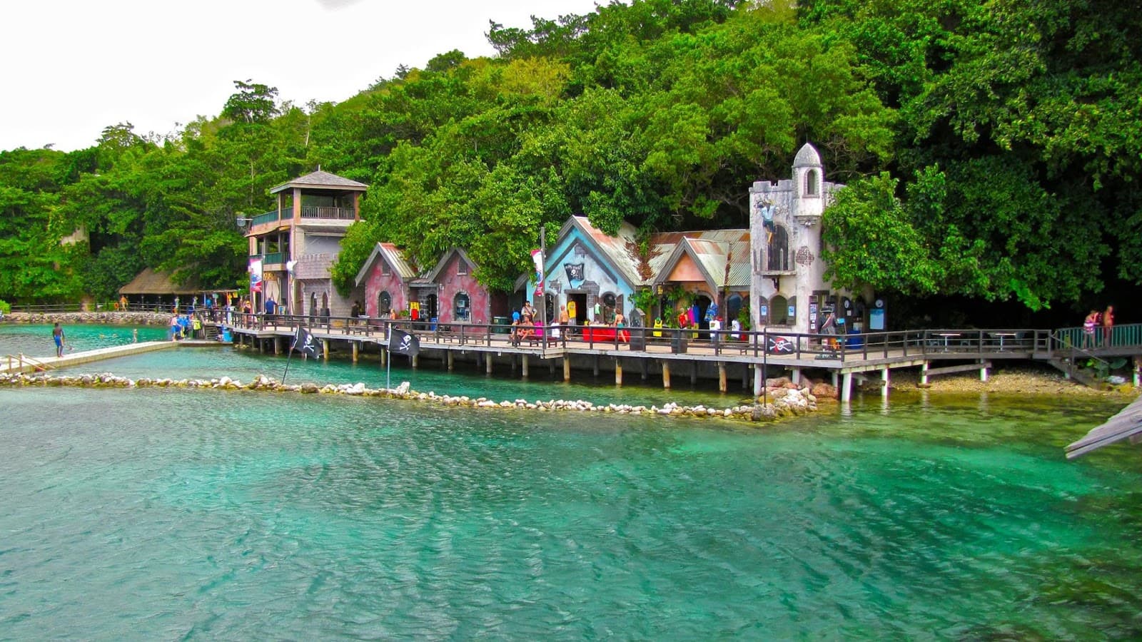 Dolphin Cove Ocho Rios – Interactive Marine Experience with Dolphins & Wildlife